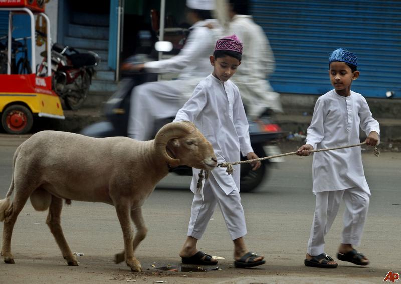 Hikmah dibalik hari raya idul Qurban