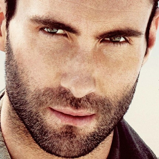 Profil dan foto Vocalis Maroon 5 Adam levine