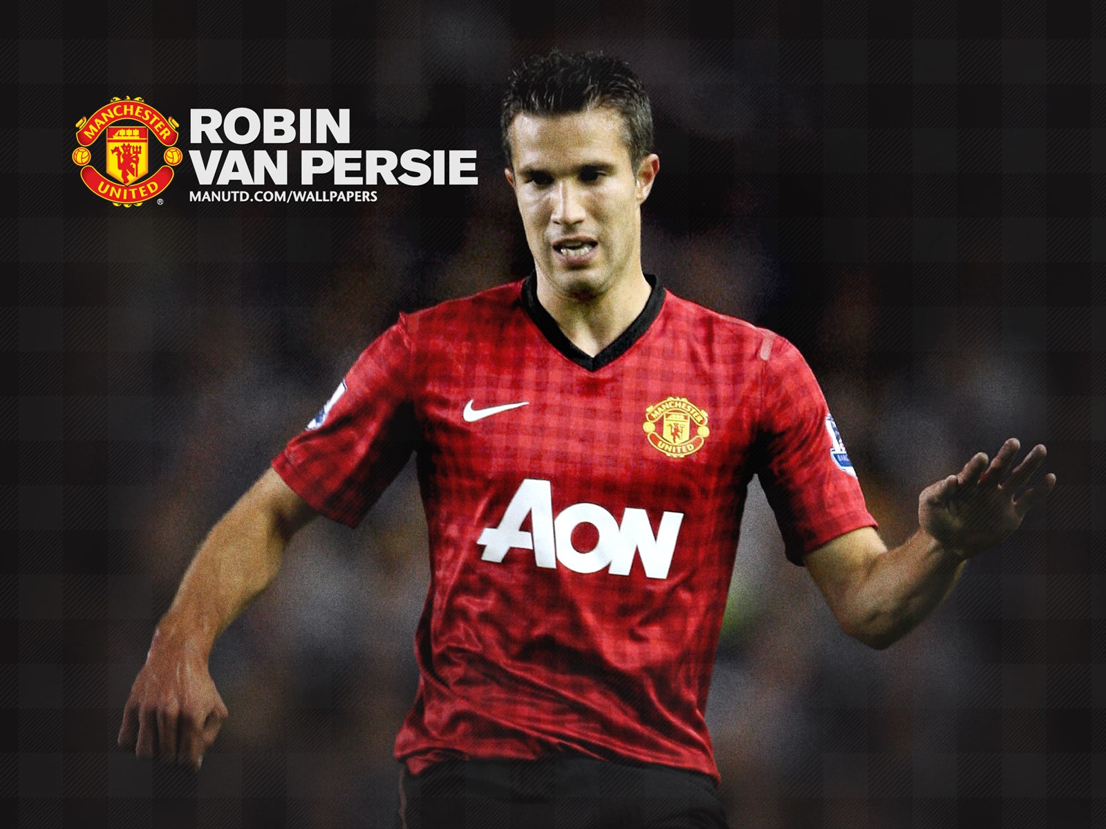 Profil lengkap dan foto Pemain Bola Robin Van Persie 